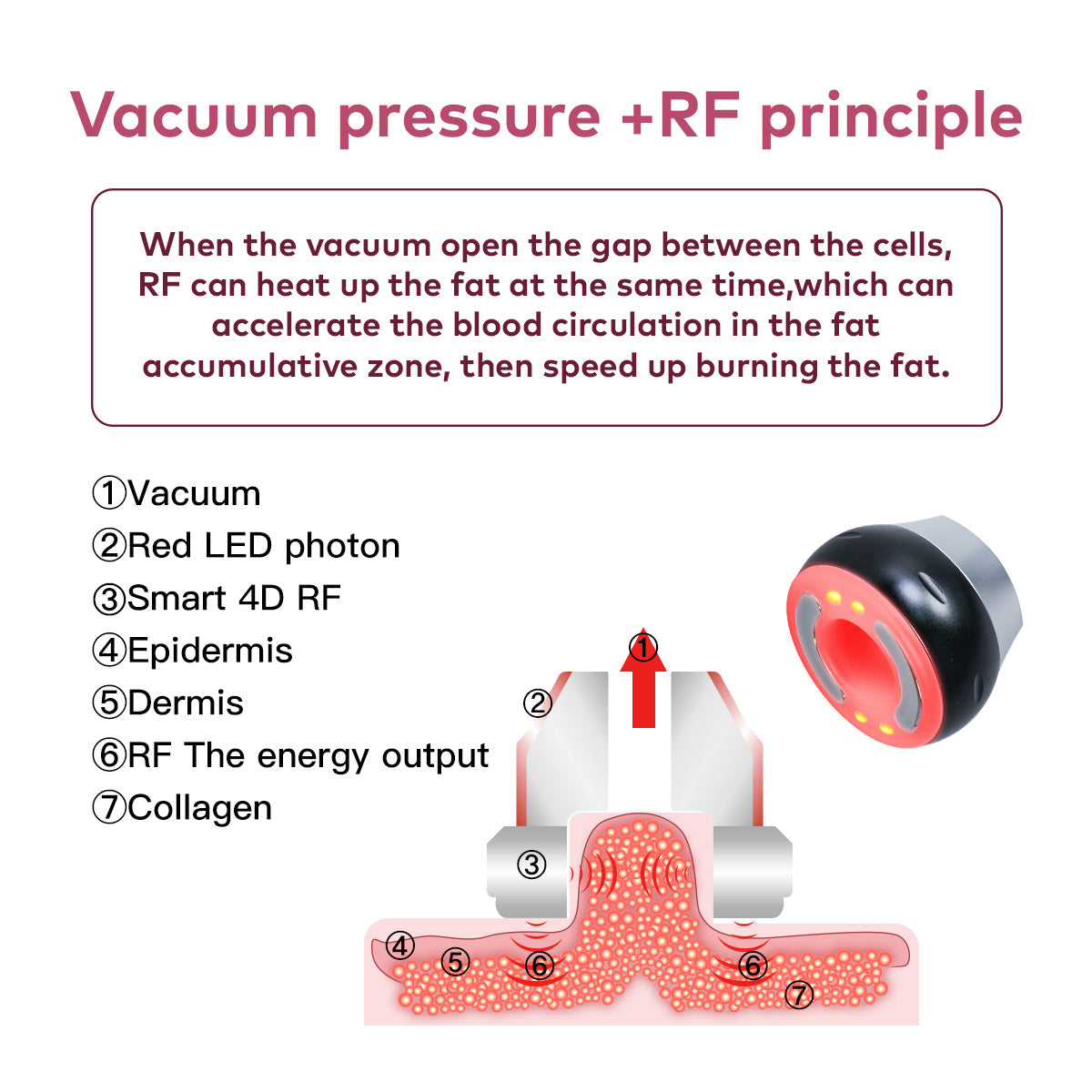 SQ16B Basic | Essential Contour Vacuum 4-in-1 40K Body-Contouring-Gerät – Ultraschall-Kavitation, multipolare RF und Vakuummassage
